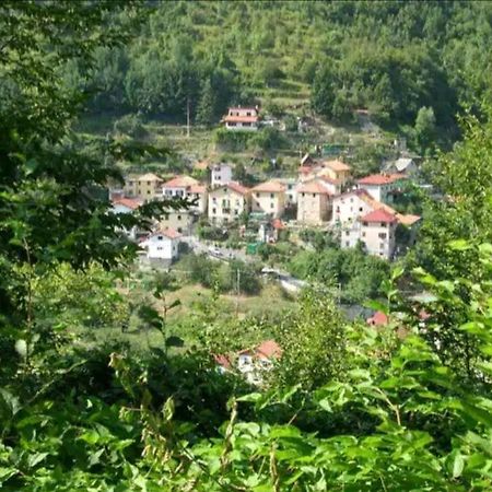 Il Non Ti Scordar Di Me Villa Valbravenna Exterior foto