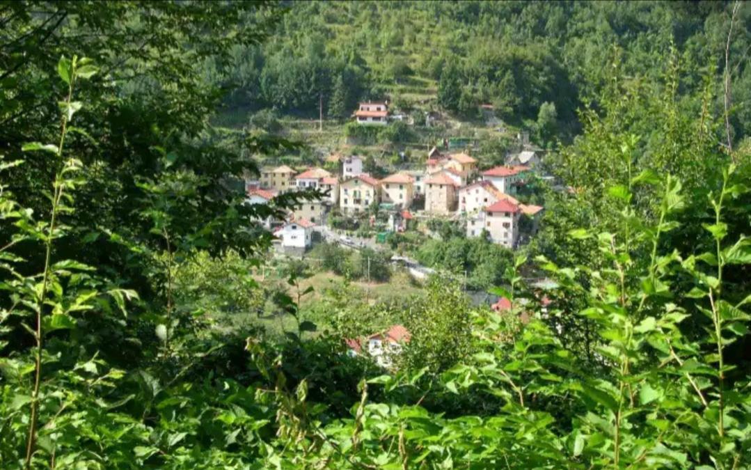 Il Non Ti Scordar Di Me Villa Valbravenna Exterior foto