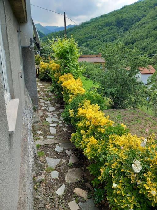 Il Non Ti Scordar Di Me Villa Valbravenna Exterior foto
