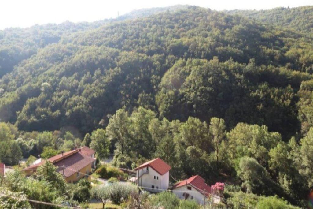 Il Non Ti Scordar Di Me Villa Valbravenna Exterior foto